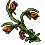 spit nettle