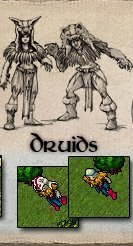 Druids